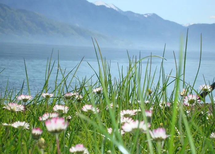 Seegasthof Oberndorfer